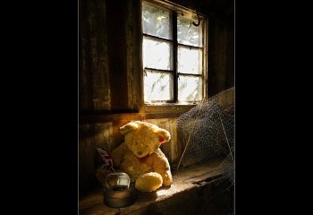 Second_Lonely-Ted-in-his-Shed_Martyn-Smith