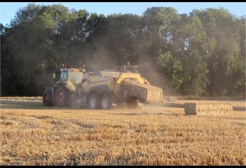 COMMENDED Baling-the-Hay-Carol-Thorne