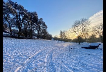 Tracks-Trough-The-Snow-Patrick-Barker