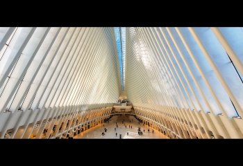 THIRD-Oculus-New-York-David-Wallis