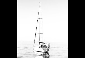 Plain-Sailing-Daphne-Neale