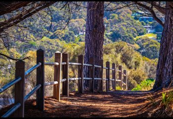 Highly-Commended_walk-into-the-light_Billy-Kerr