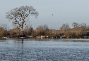 Commended_Across-the-Flooded-Fields_John-Crew-LRPS