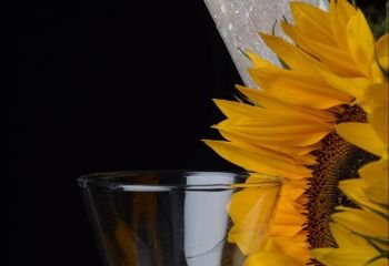 SUNFLOWER-AND-BOTTLE_Purificacion-Montanez-Carmona