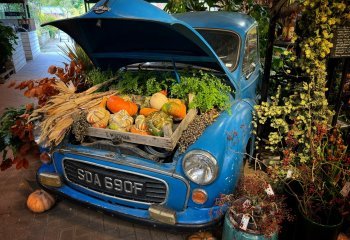 A-Bumper-Crop_Jean-Thirkettle