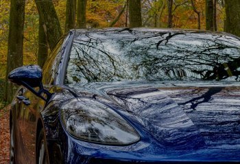 First_Automn-reflections_Stephen-Chapman