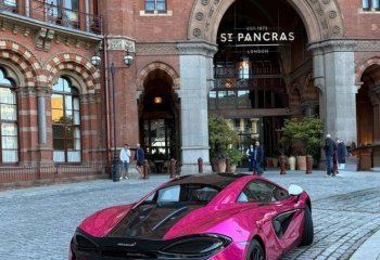 Commended_In-the-Pink-at-St-Pancras_Jean-Thirkettle