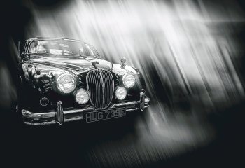Jaguar-1_Steve-Kirby
