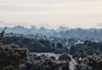 Cold-Mist Chris Donohoe