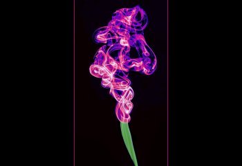 Iridescent-smoke-flower John Smith