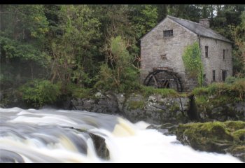 Cenarth-Falls-and-The-Old-Mill-Carol-Thorne