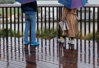 Commended_A-Rainy-Day-in-New-York_Linda-Thomas