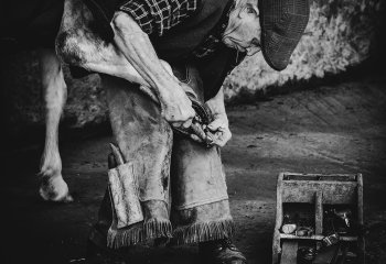 Commended_Tradition_bill-Lincoln