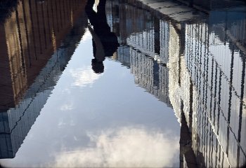 Urban Reflections Daphne Neale