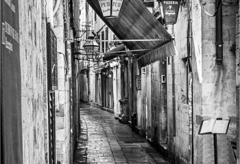 The-Quiet-Passage_David-Wallis