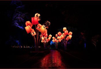 Tree-Lights_Nigel-Rogers