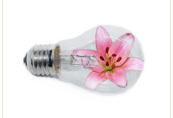 COMMENDED-Eco-friendly-lightbulb Andy Kennedy