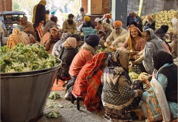 30-Third_Busy-work-feeding-100000-daily_Daphne-Neale