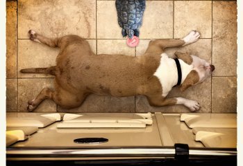 The-AGA-Heat-Seekers_Mike-Cheeseman-LRPS