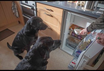 The-Optimists_John-Hankin-LRPS