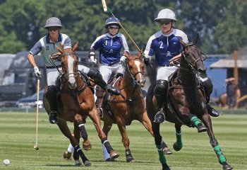 John-Hankin-Polo-Action