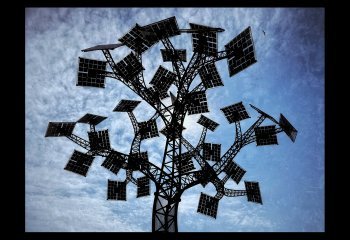 FIRST_COLIN-HOSKINS-THE-SOLAR-PANEL-TREE