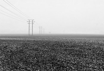 Misty-Powerlines.-PatrickBarker-jpg