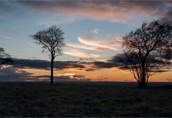 On-Roundway-Hill-John-Crew