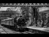 03_John-Spreadbury_Trainspotter