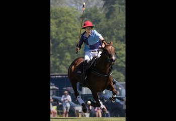 Highly-Commended-Flying-Pony John-Hankin