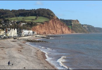 Sidmouth Carol Thorne