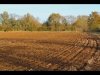 02_Carol Thorne_The Ploughed field