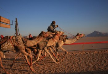 Dawn-Training-Wadi-Rum-1