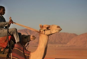 Wadi-Rum-Dawn-training-scaled