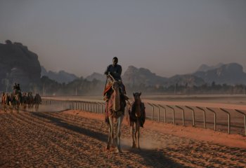 Wadi-Rum-training-at-dawn
