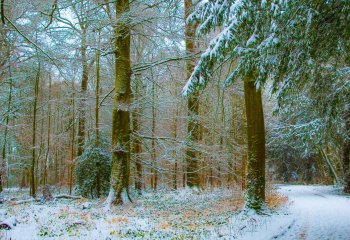 Alistair-Gorthy-gallery_robgorthy_Winter_Landscape_Cirencester