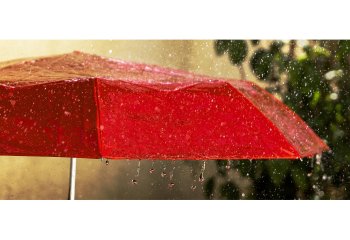 FIRST Summer-Rain-Steve-Kirby